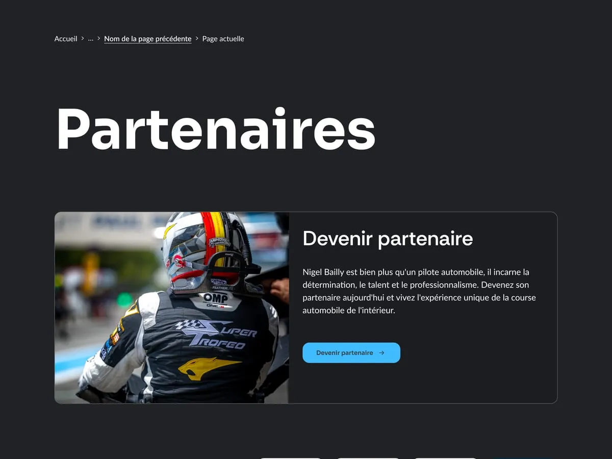 Page partenaires de Nigel Bailly